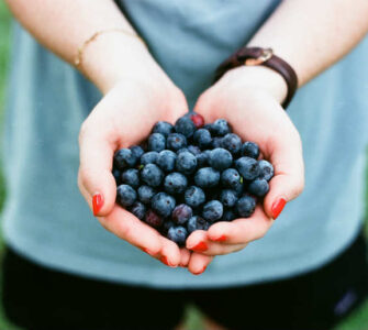 Blueberries Benefits