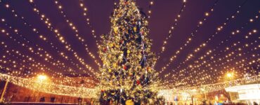 Best Places to Visit During Christmas