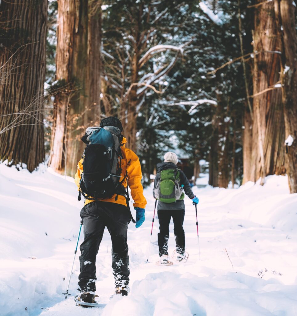 Nagano, Japan - Best Places to See In Winter